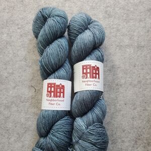 Neighborhood Fiber Co. Rustic Fingering wt yarn, colorway Hollins Market
